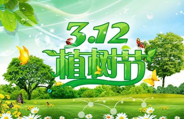 植樹節(jié)活動總結(jié)范文_2020年植樹節(jié)活動總結(jié)大全